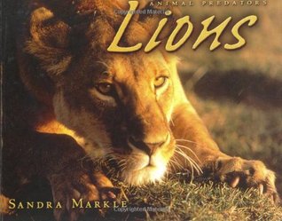 Lions (Animal Predators)