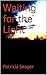 Waiting for the Light (Detective Chief Inspector James Taylor Mysteries Book 1)