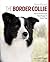 The Border Collie: Your Essential Guide From Puppy To Senior Dog (Best of Breed)