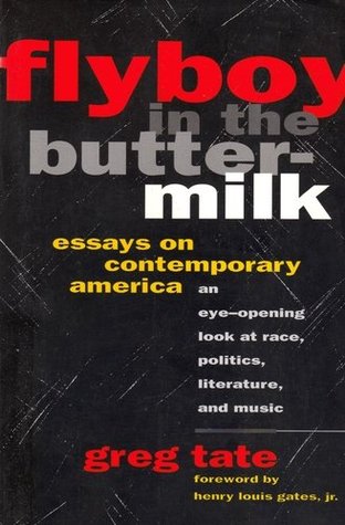 Flyboy in the Buttermilk: Essays on Contemporary America (Paperback)