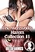 The Werewolf's Harem Collection 11
