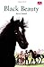 Black Beauty by Ken Methold