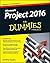 Project 2016 For Dummies