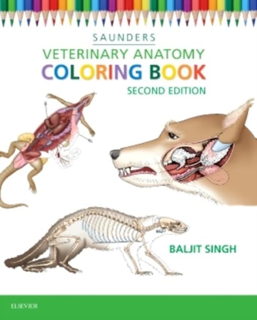 Saunders Veterinary Anatomy Coloring Book