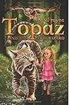 Topaz and the Evil Wizard (Topaz the Conjure Cat)