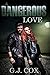 A Dangerous Love