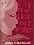 Burning Down Walls to Build Bridges: A Positive Life in a Negative World