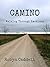 Camino: Walking Through Emotions