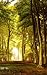 Walden, Resistance to Civil Government, The Maine Woods & Wal... by Henry David Thoreau Walden, Resistance to Civil Government, The Maine Woods & Wal... by Henry David Thoreau