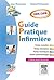 Guide pratique de l'infirmière 2015-2016 by Gabriel Perlemuter