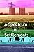 A Spectrum Of Settlements