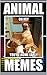 Memes: Funny Animal Memes, Jokes, Funny Pictures and Other Cool Stuff