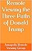 Remote Viewing the Three Paths of Donald Trump