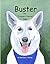 Buster the Treasure Hunter Dog