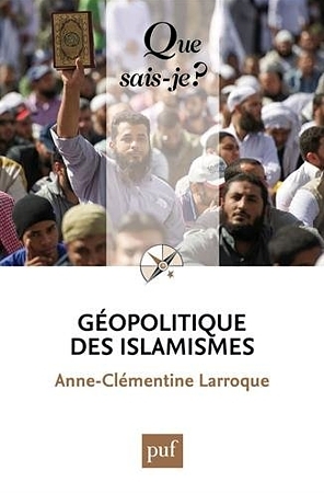 Géopolitique des islamismes (Mass Market Paperback)