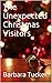 The Unexpected Christmas Vi...