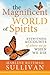 The Magnificent World of Spirits: Eyewitness Accounts of Where We Go When We Die