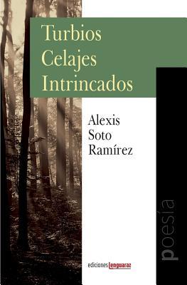 Turbios Celajes Intrincados (Spanish Edition)