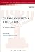 Gleanings from the Caves: Dead Sea Scrolls and Artefacts from the Schøyen Collection (The Library of Second Temple Studies, 71)