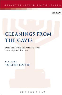 Gleanings from the Caves: Dead Sea Scrolls and Artefacts from the Schøyen Collection (The Library of Second Temple Studies, 71)