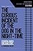 Curious Incident of the Dog in the Night-Time GCSE Student Guide, The