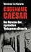 Codename Caesar: Im Herzen der syrischen Todesmaschinerie (German Edition)