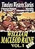 THE WILLIAM MACLEOD RAINE BOOK VOL.I: WYOMING,RIDGWAY OF MONTANA,BRAND BLOTTERS,A TEXAS RANGER,MAVERICKS,THE VISION SPLENDID,A DAUGHTER OF THE DONS,….: Timeless Western Stories