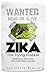 ZIKA: The Flying Disease. Everything you need to know about the Zika Virus, in one book (Zika Virus, Pregnancy Risks, Zika and Pregnancy, Caribbean Vacations)