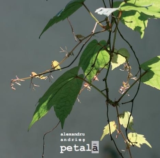 Petală