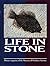 Life in stone: Fossils of t...