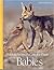 How Animals Care for Their Babies (Books for Young Explorers)