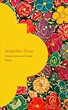 Imperfect Tense