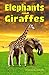 Elephants and Giraffes