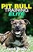 Pit Bull Training Elite: Ma...