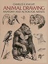 Animal Drawing Anatomy and Action for Artists by Charles R. Knight