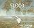 Flood