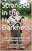 Stranded in the Heart of Darkness: A Tale of Misadventure and a Travel Survival Guide