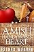 The Amish Handyman's Heart (Amish Spring Romance Series #4)