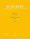 Schubert: Piano Sonata in C Minor, D 958