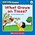 What Grows On Trees? (First Little Readers: Level B)