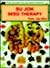 Su Jok Seed Therapy by Park Jae Woo