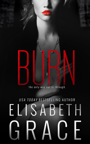 Burn (Duplicity Duet, #2)