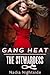 Gang Heat: The Stewardess (Unprotected Force, #2)