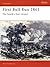 First Bull Run 1861: The South's first victory (Campaign Book 10)