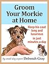 Groom Your Morkie...
