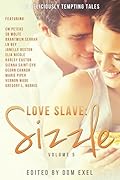Love Slave: Sizzle