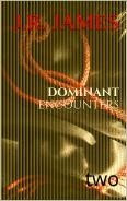 Dominant Encounters: Two (Dominant Encounters, #2)