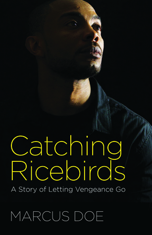 Catching Ricebirds: A Story of Letting Vengeance Go