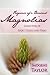 Fragrance of a Thousand Magnolias by Imogene Taylor
