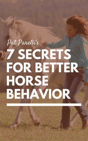 Pat Parelli seven secrets for better horse behaviour